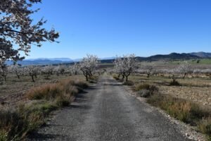 Parque de la Avenida de las Naciones Fuenlabrada