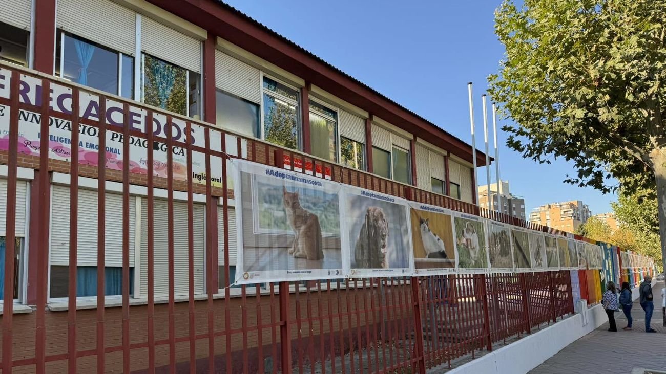 Fotos de perros y gatos en el exterior de un colegio de Fuenlabrada