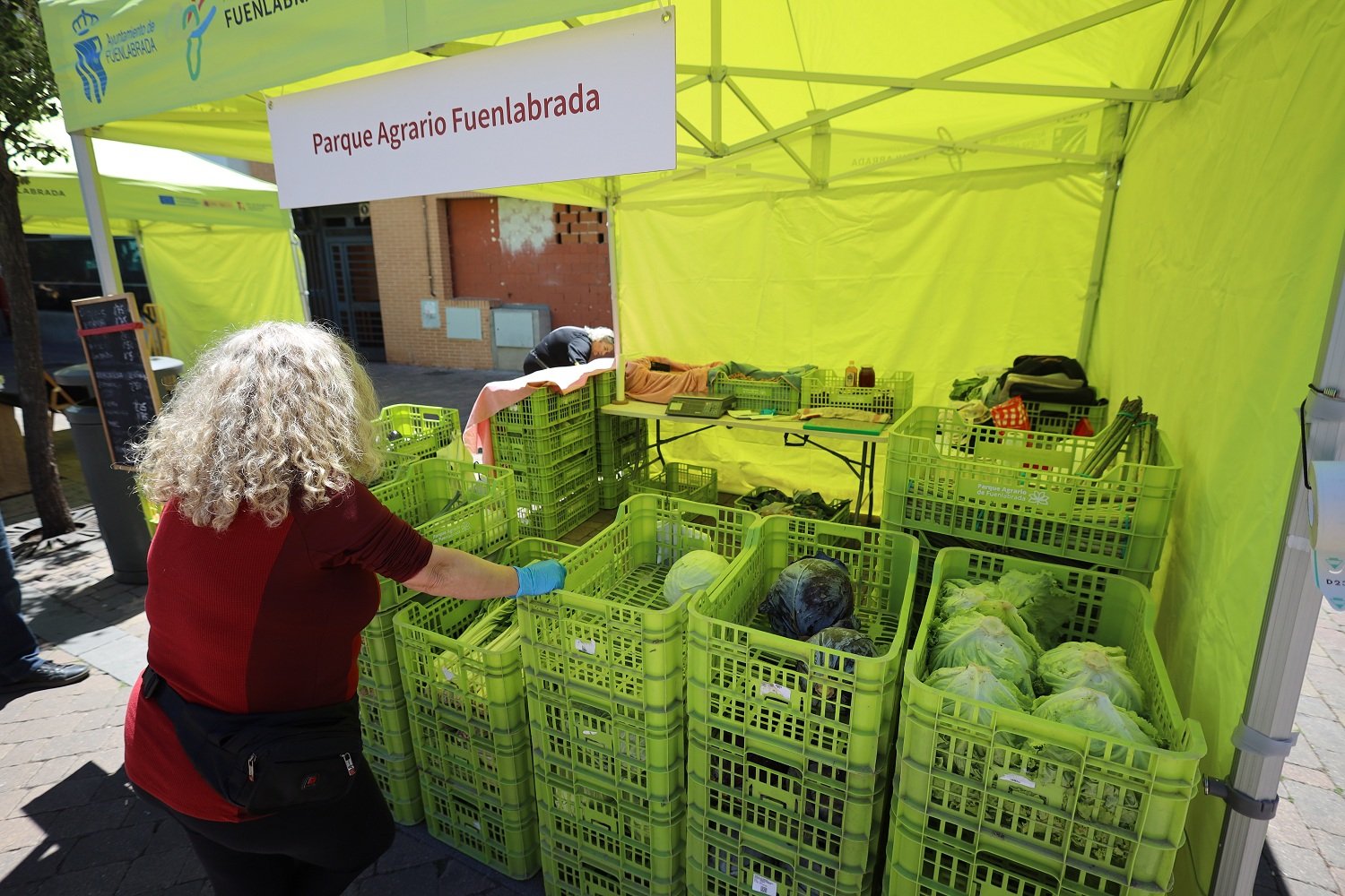 Fuenlabrada acoge el Mercado de Productores en el bulevar del paseo de la Salud